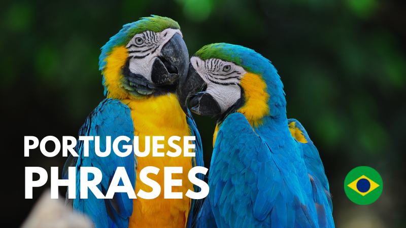 PORTUGUESE-PHRASES