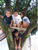 Brazilian Children in a Mango Tree Brazilian Children in a Mango Tree