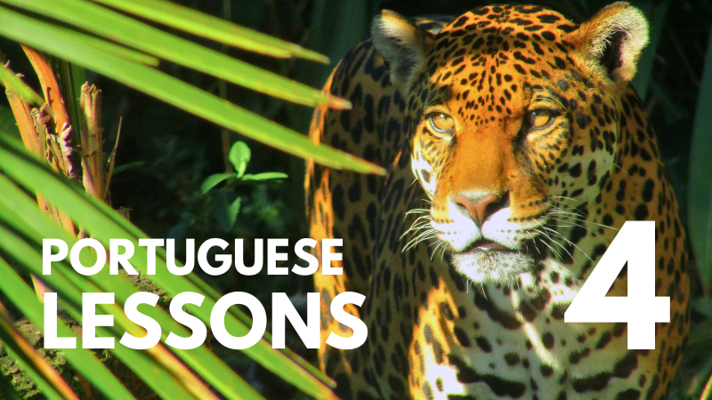 portuguese-lessons-4